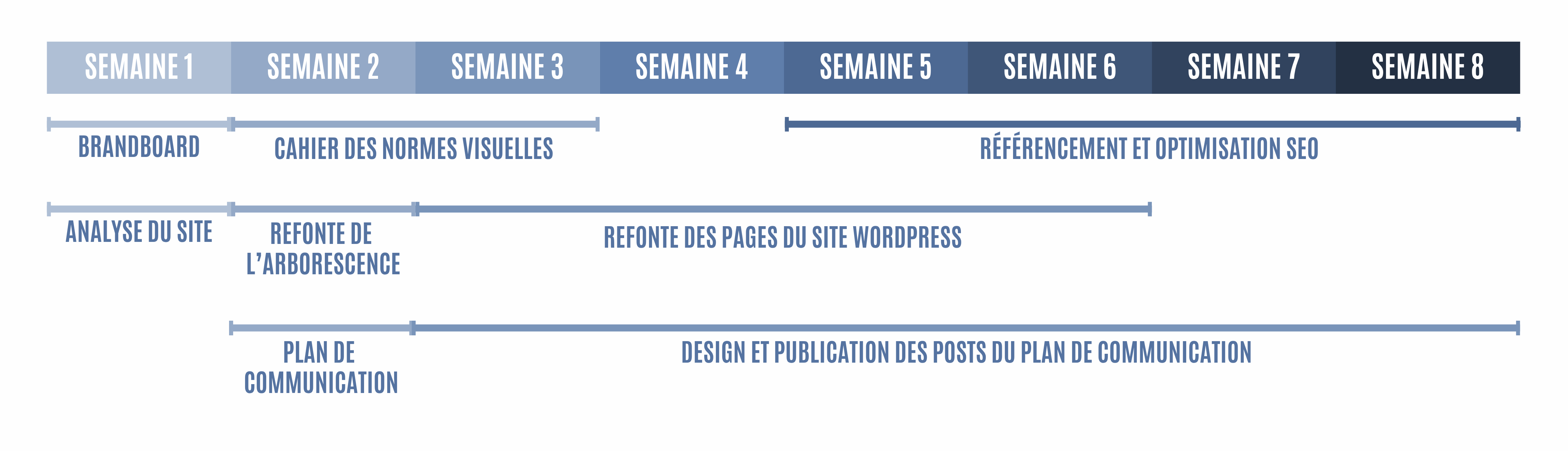frise chronologique